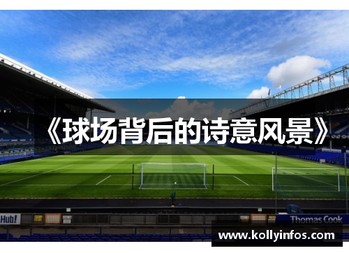 《球场背后的诗意风景》